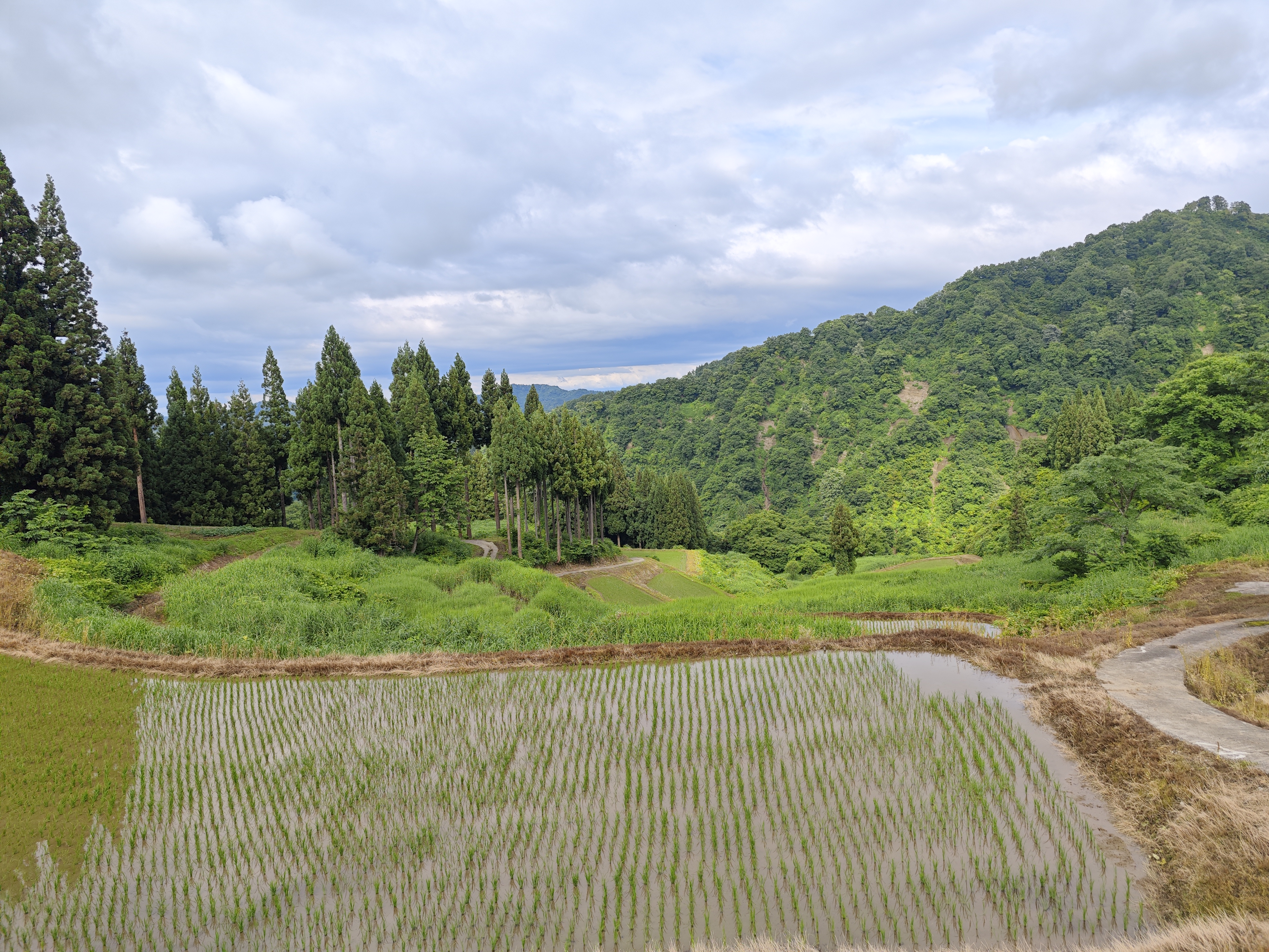 日本の田舎に泊まる｜新潟・松之山の棚田の集落 天水島ヒルズ