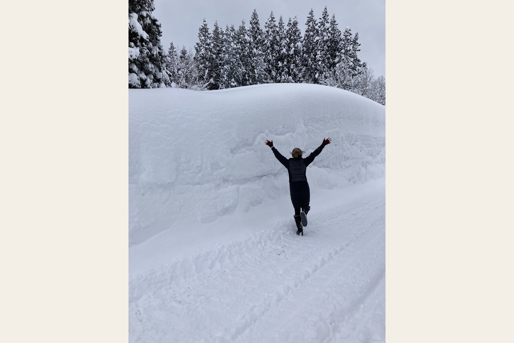 日本の雪国に泊まる｜十日町・松之山の一棟貸し